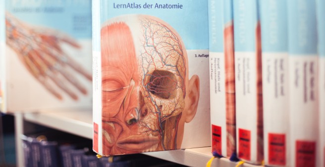 Anatomie Bücher