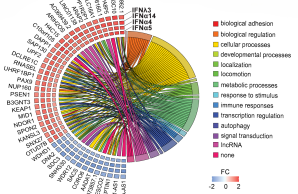 Antiviral Targets