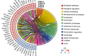 Antiviral Targets