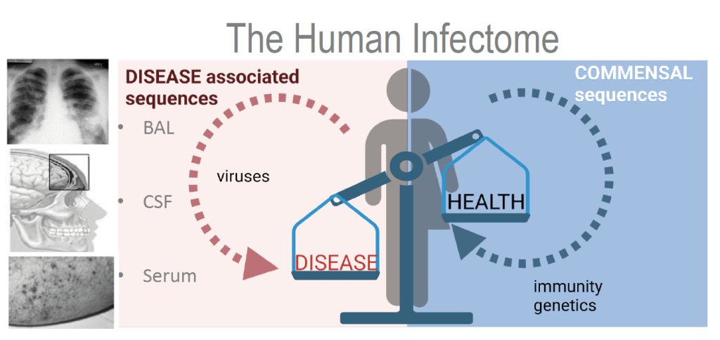 Uke Medical Microbiology Virology And Hygiene