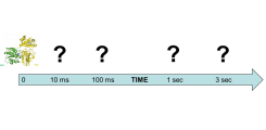 Scheme of a molecular movie from an enzymatic GTPase-GAP reaction