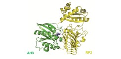 Photo Time-resolved crystallography