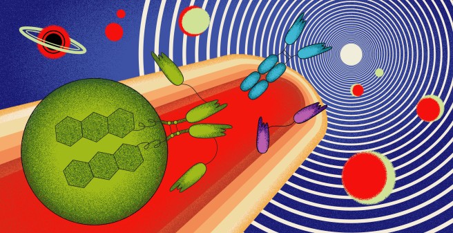 Schematische Illustration der Nanobody-Forschung von Peter Bannas und seinem Team